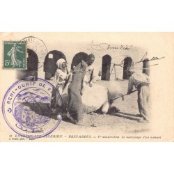 Rare collectable postcards of Algeria. Vintage Postcards of Algeria
