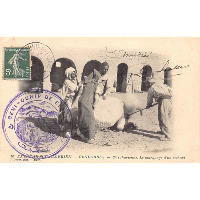 Rare collectable postcards of Algeria. Vintage Postcards of Algeria