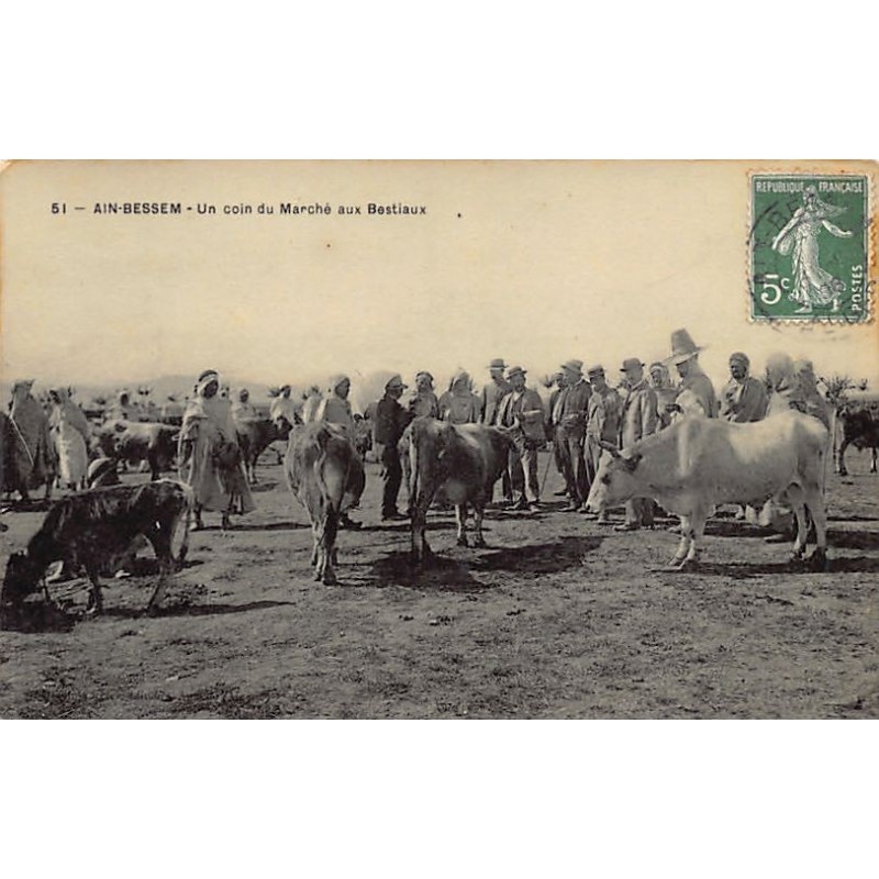 Rare collectable postcards of Algeria. Vintage Postcards of Algeria