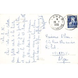 Rare collectable postcards of Algeria. Vintage Postcards of Algeria