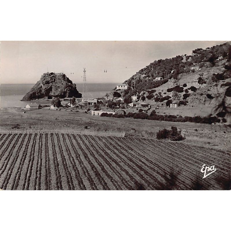 Rare collectable postcards of Algeria. Vintage Postcards of Algeria