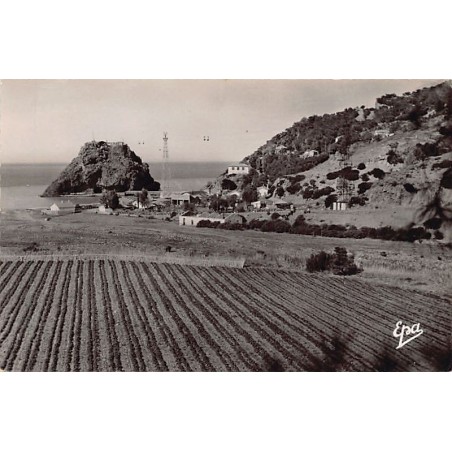 Rare collectable postcards of Algeria. Vintage Postcards of Algeria