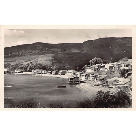 Rare collectable postcards of Algeria. Vintage Postcards of Algeria