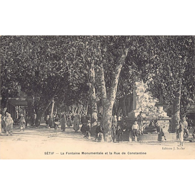 Rare collectable postcards of Algeria. Vintage Postcards of Algeria