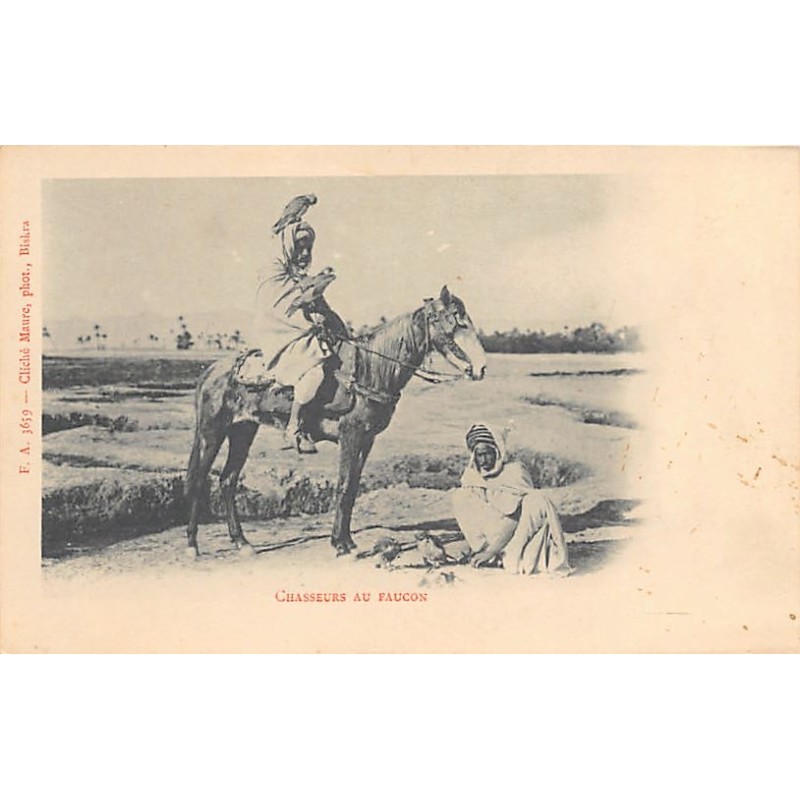 Rare collectable postcards of Algeria. Vintage Postcards of Algeria