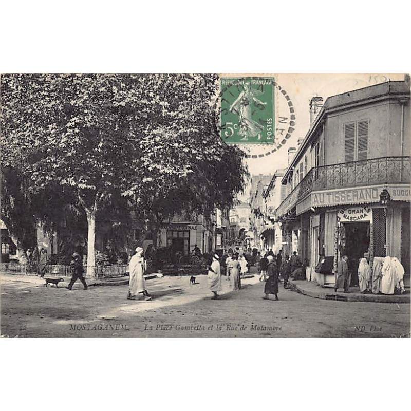 Rare collectable postcards of Algeria. Vintage Postcards of Algeria