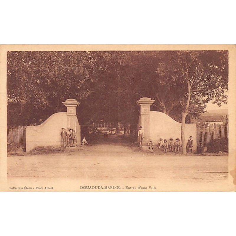 Rare collectable postcards of Algeria. Vintage Postcards of Algeria