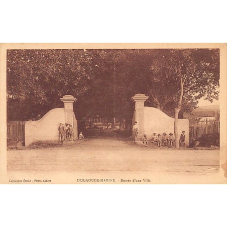 Rare collectable postcards of Algeria. Vintage Postcards of Algeria