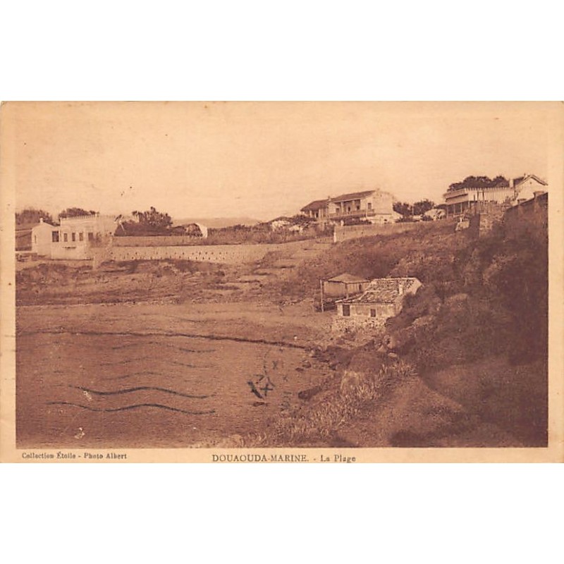 Rare collectable postcards of Algeria. Vintage Postcards of Algeria