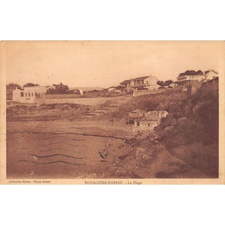 Rare collectable postcards of Algeria. Vintage Postcards of Algeria