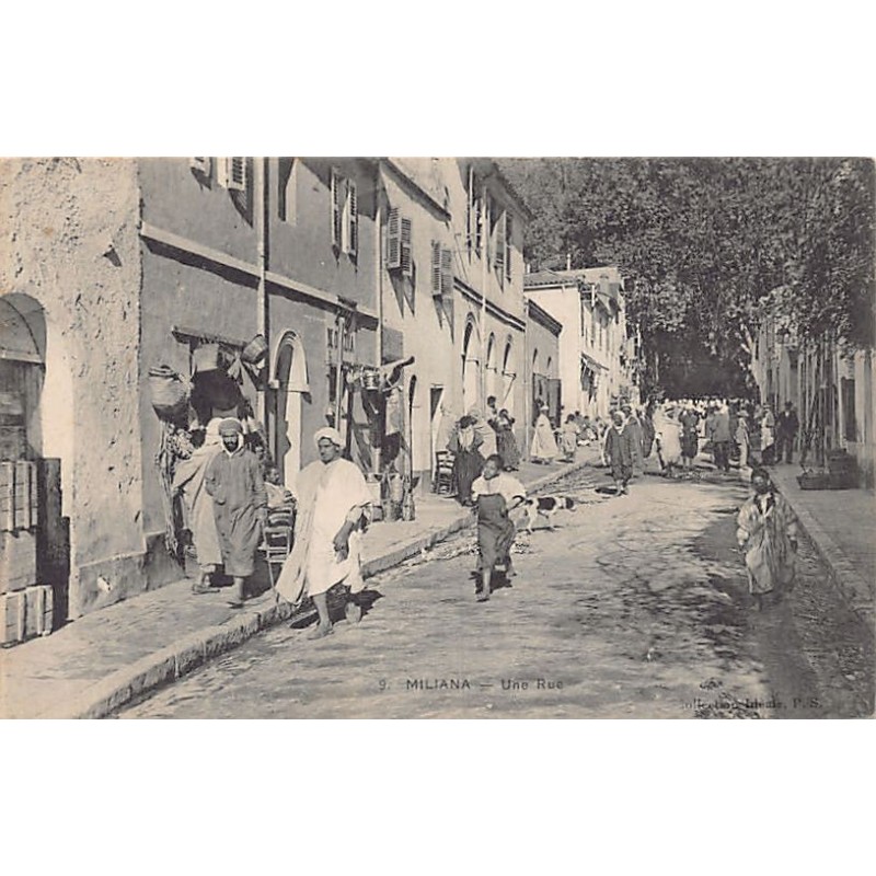 Rare collectable postcards of Algeria. Vintage Postcards of Algeria