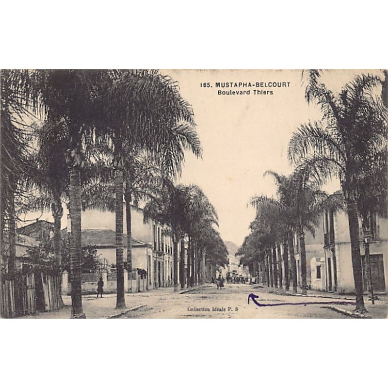 Rare collectable postcards of Algeria. Vintage Postcards of Algeria