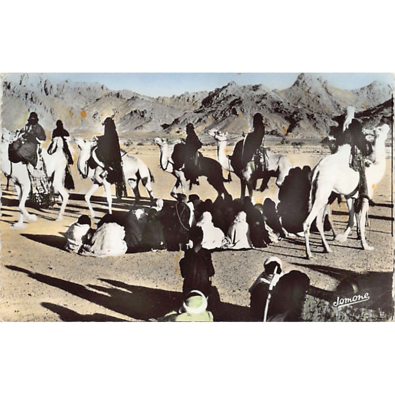 Rare collectable postcards of Algeria. Vintage Postcards of Algeria