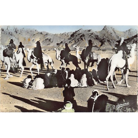Rare collectable postcards of Algeria. Vintage Postcards of Algeria