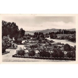 Rare collectable postcards of Tunisia. Vintage Postcards of Tunisia