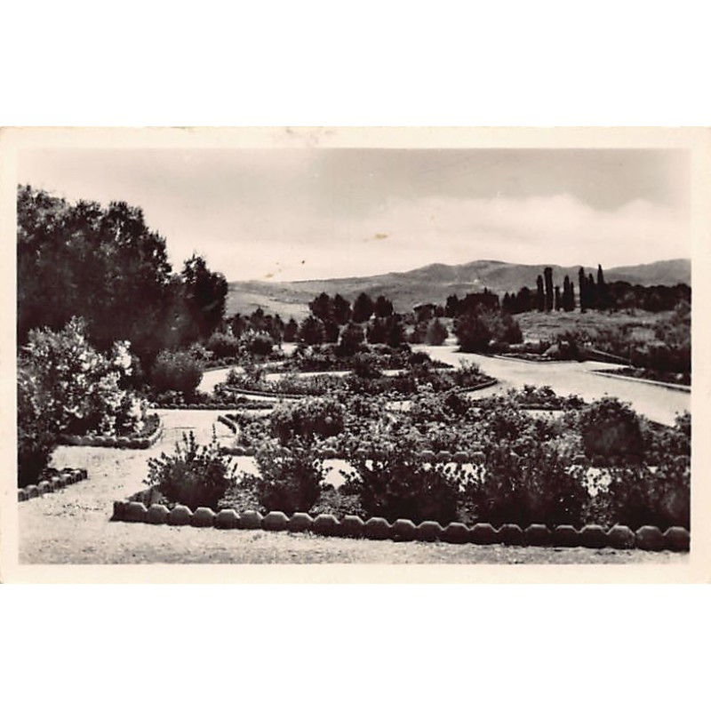 Rare collectable postcards of Tunisia. Vintage Postcards of Tunisia
