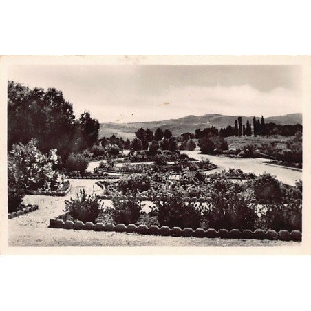 Rare collectable postcards of Tunisia. Vintage Postcards of Tunisia