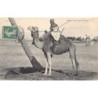 Rare collectable postcards of Sahara. Vintage Postcards of Sahara