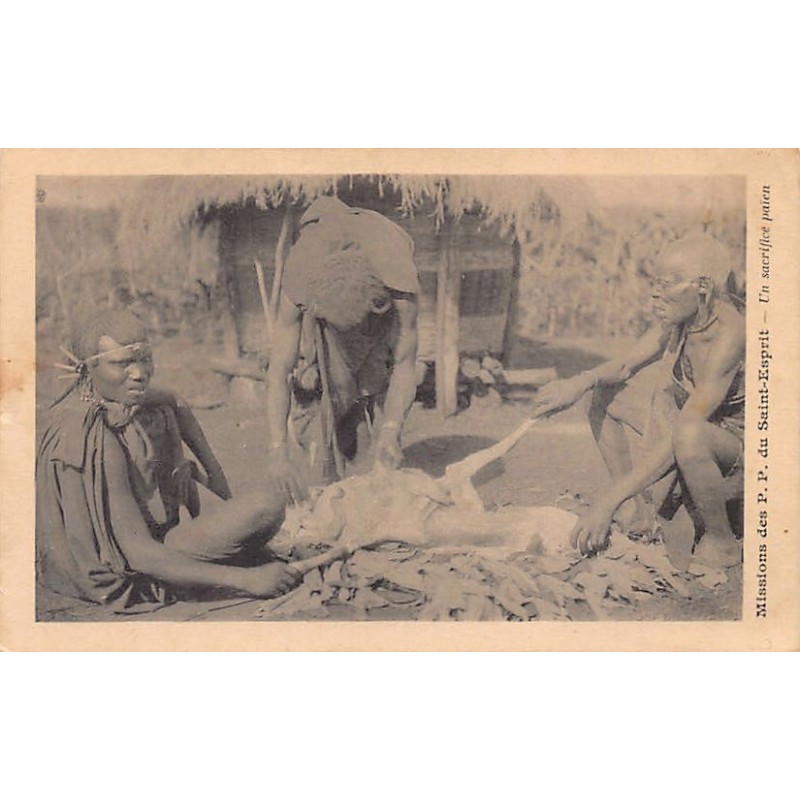 Rare collectable postcards of Kenya. Vintage Postcards of Kenya