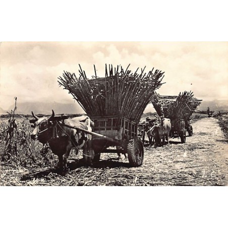 Rare collectable postcards of Réunion. Vintage Postcards of Réunion