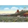 Rare collectable postcards of China. Vintage Postcards of China