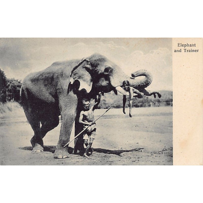 Rare collectable postcards of India. Vintage Postcards of India