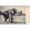 Rare collectable postcards of India. Vintage Postcards of India