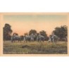 Rare collectable postcards of India. Vintage Postcards of India