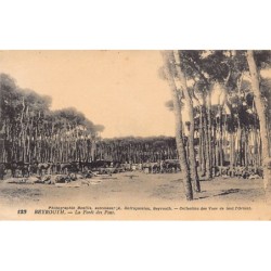 Rare collectable postcards of Lebanon. Vintage Postcards of Lebanon