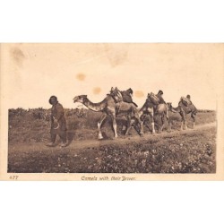 Rare collectable postcards of Lebanon. Vintage Postcards of Lebanon