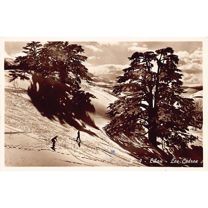 Rare collectable postcards of Lebanon. Vintage Postcards of Lebanon