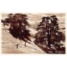Rare collectable postcards of Lebanon. Vintage Postcards of Lebanon