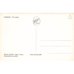Rare collectable postcards of Lebanon. Vintage Postcards of Lebanon