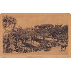Rare collectable postcards of Lebanon. Vintage Postcards of Lebanon