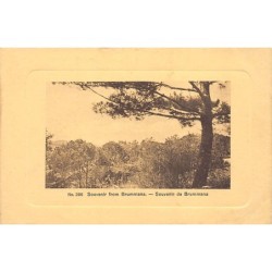 Rare collectable postcards of Lebanon. Vintage Postcards of Lebanon