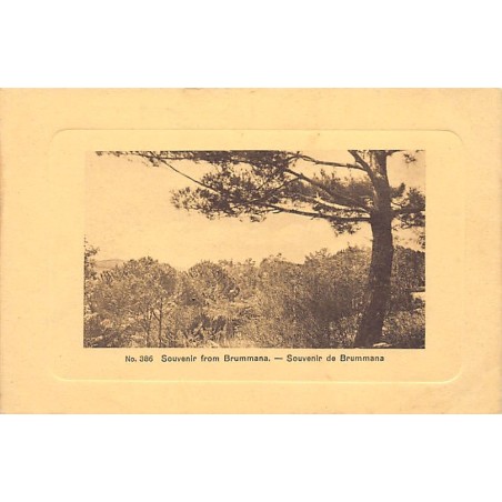 Rare collectable postcards of Lebanon. Vintage Postcards of Lebanon