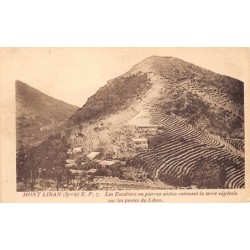 Rare collectable postcards of Lebanon. Vintage Postcards of Lebanon