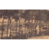 Rare collectable postcards of Lebanon. Vintage Postcards of Lebanon