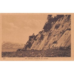 Rare collectable postcards of Lebanon. Vintage Postcards of Lebanon