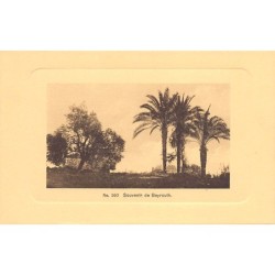 Rare collectable postcards of Lebanon. Vintage Postcards of Lebanon