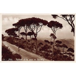 Rare collectable postcards of Lebanon. Vintage Postcards of Lebanon
