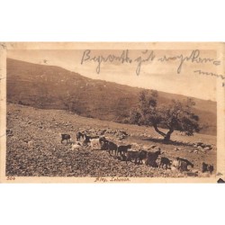 Rare collectable postcards of Lebanon. Vintage Postcards of Lebanon