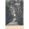 Rare collectable postcards of Singapore. Vintage Postcards of Singapore