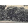 Rare collectable postcards of Sri Lanka (Ceylon). Vintage Postcards of Sri Lanka (Ceylon)