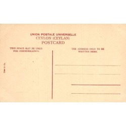 Rare collectable postcards of Sri Lanka (Ceylon). Vintage Postcards of Sri Lanka (Ceylon)