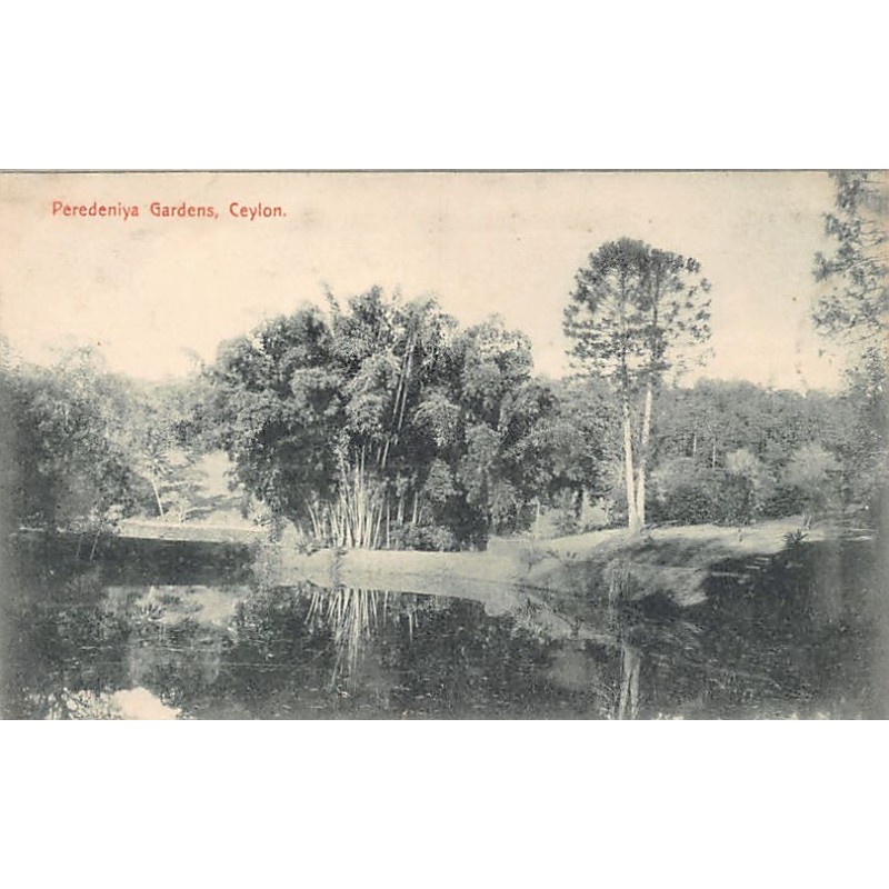 Rare collectable postcards of Sri Lanka (Ceylon). Vintage Postcards of Sri Lanka (Ceylon)