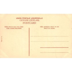 Rare collectable postcards of Sri Lanka (Ceylon). Vintage Postcards of Sri Lanka (Ceylon)
