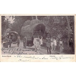 Rare collectable postcards of Sri Lanka (Ceylon). Vintage Postcards of Sri Lanka (Ceylon)