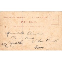 Rare collectable postcards of Sri Lanka (Ceylon). Vintage Postcards of Sri Lanka (Ceylon)