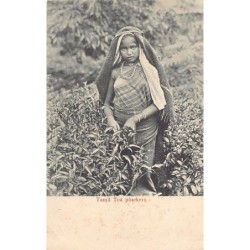 Rare collectable postcards of Sri Lanka (Ceylon). Vintage Postcards of Sri Lanka (Ceylon)